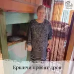 Заставка для - Сбор на четыре телеги дров в Ершичи - 70 000 рублей.&nbsp;