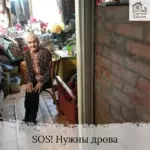 Заставка для - Сбор для бабушки и дедушки на дрова - 32 000 рублей