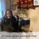 Заставка для - Сбор на три машины дров - 55 500 рублей